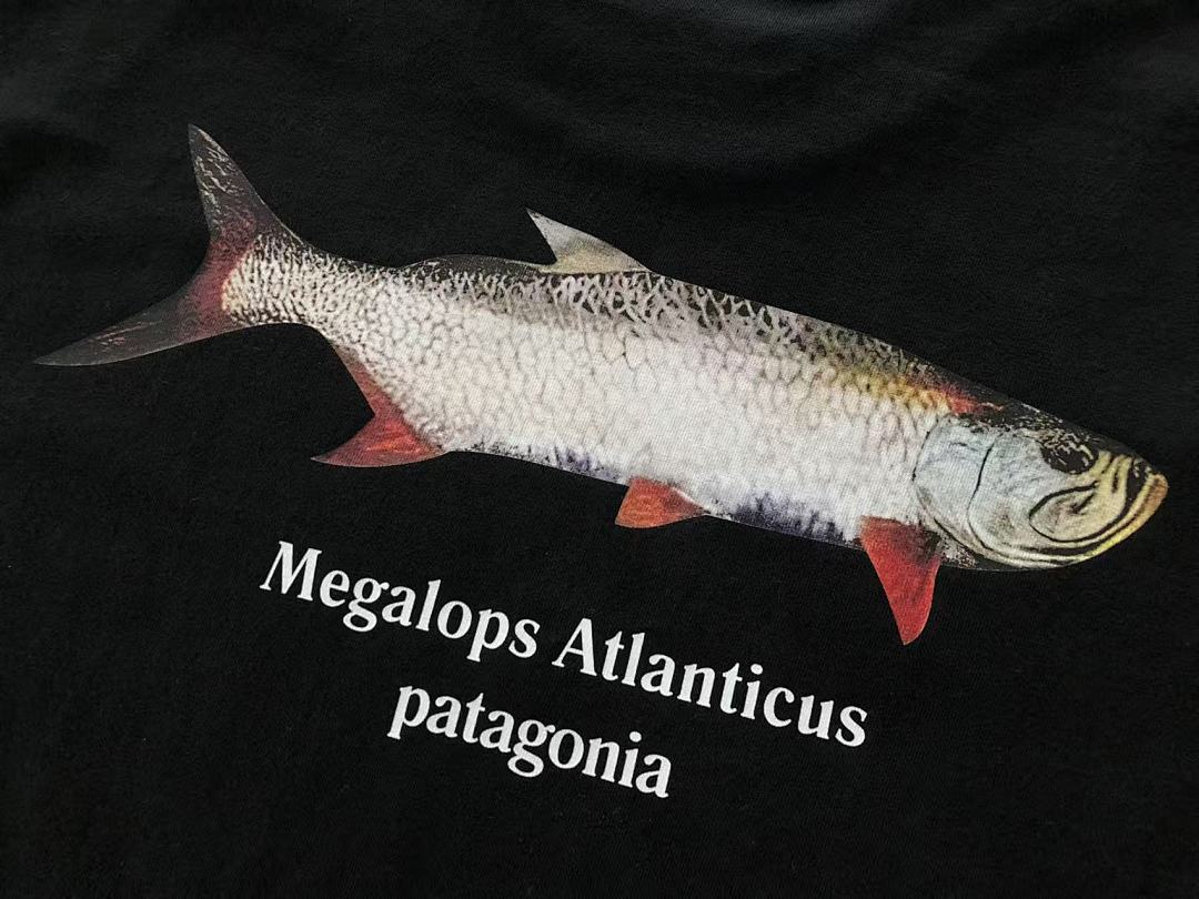T-Shirts Patagonia
