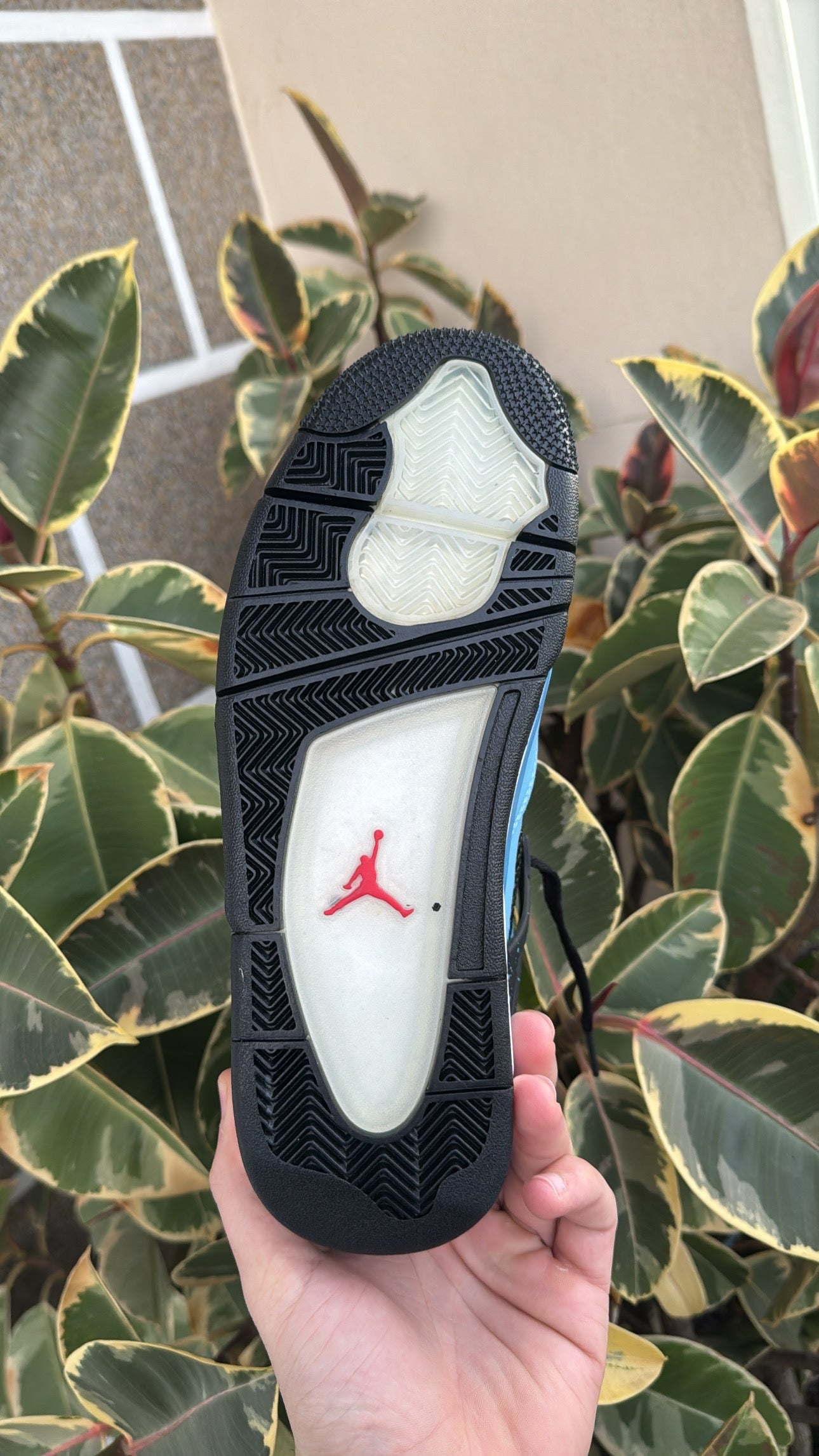AJ4 x Travis