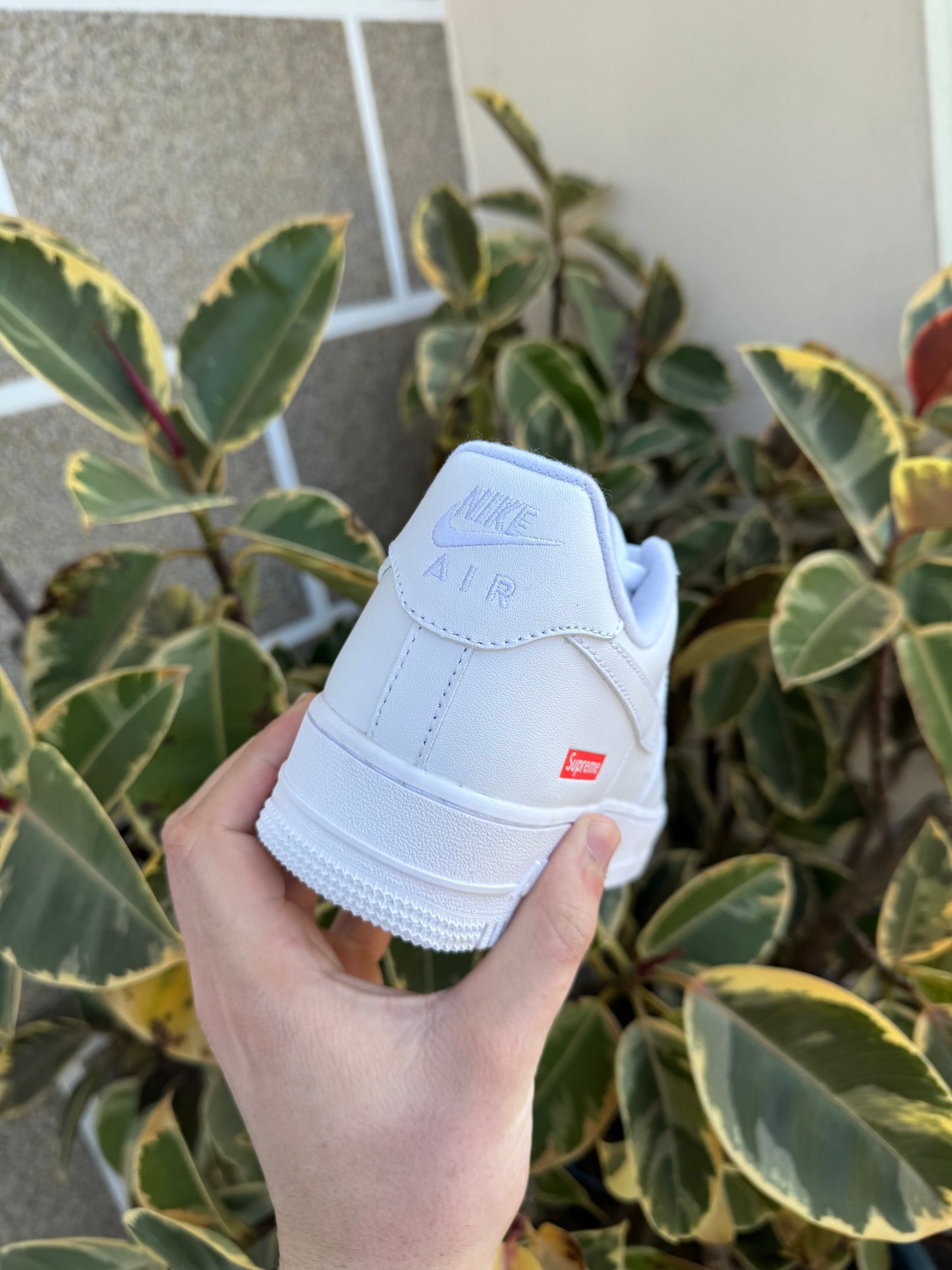 AF1 Sup White