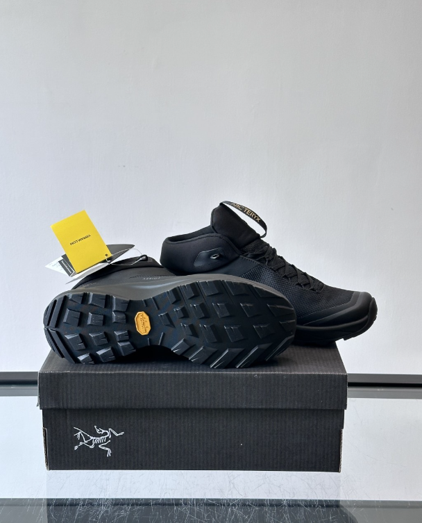 Arc'teryx Aerios FL 2 Mid GTX Black