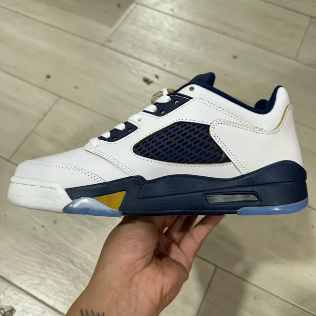 AJ 5 Low Dunk From Above