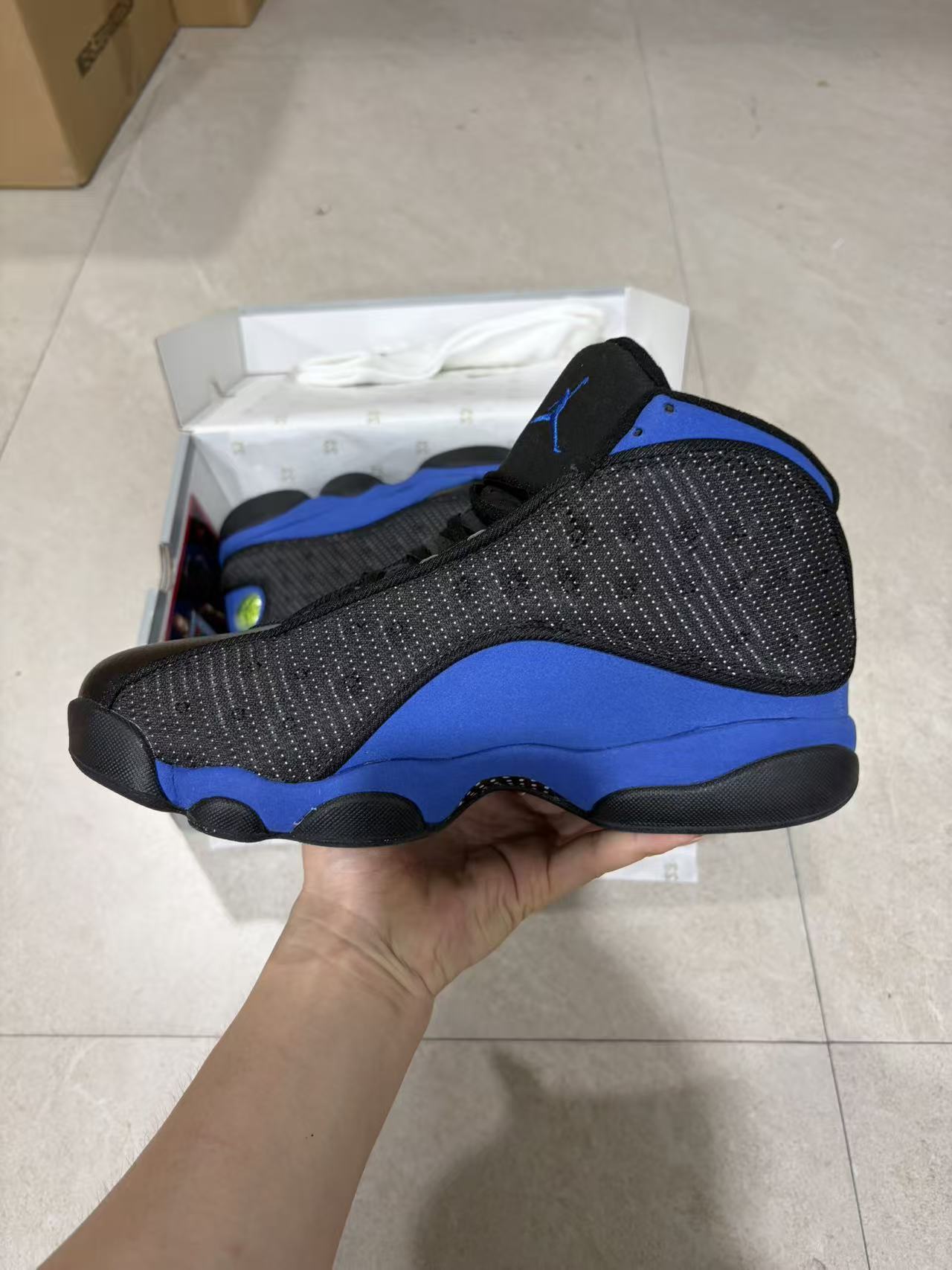 13 Court Purple