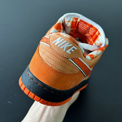 Dunk SB Orange Lobster