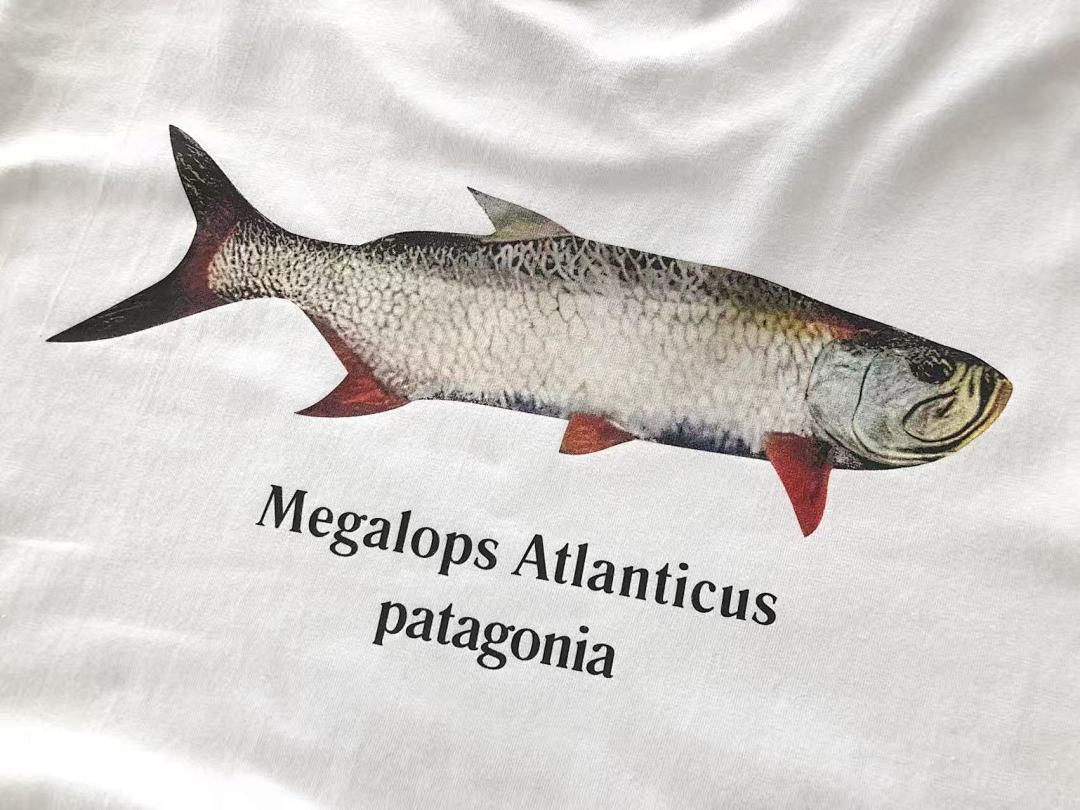 T-Shirts Patagonia