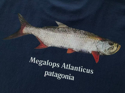 T-Shirts Patagonia