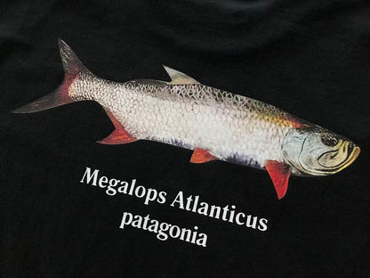 T-Shirts Patagonia