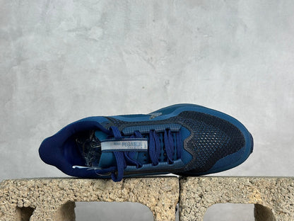 Pegasus Premium Blue