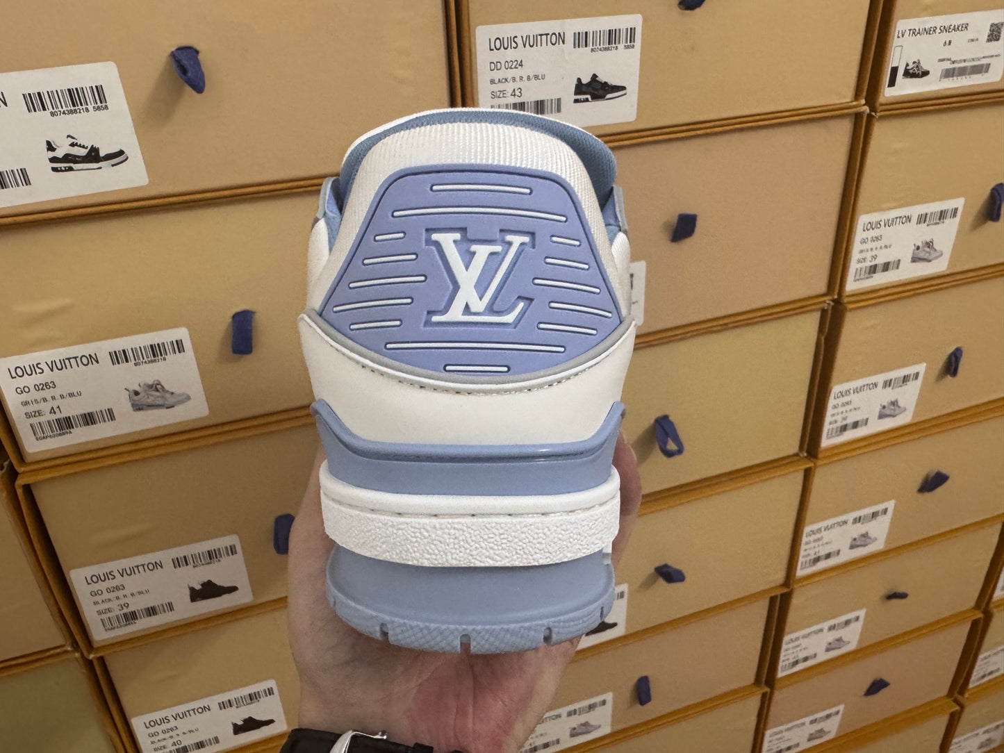 Trainer Blue and White