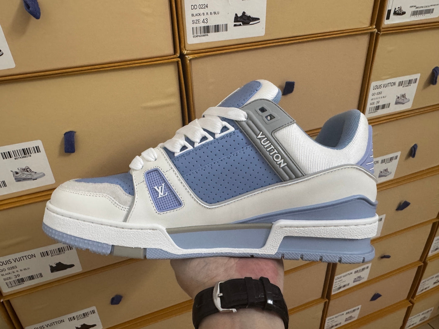 Trainer Blue and White