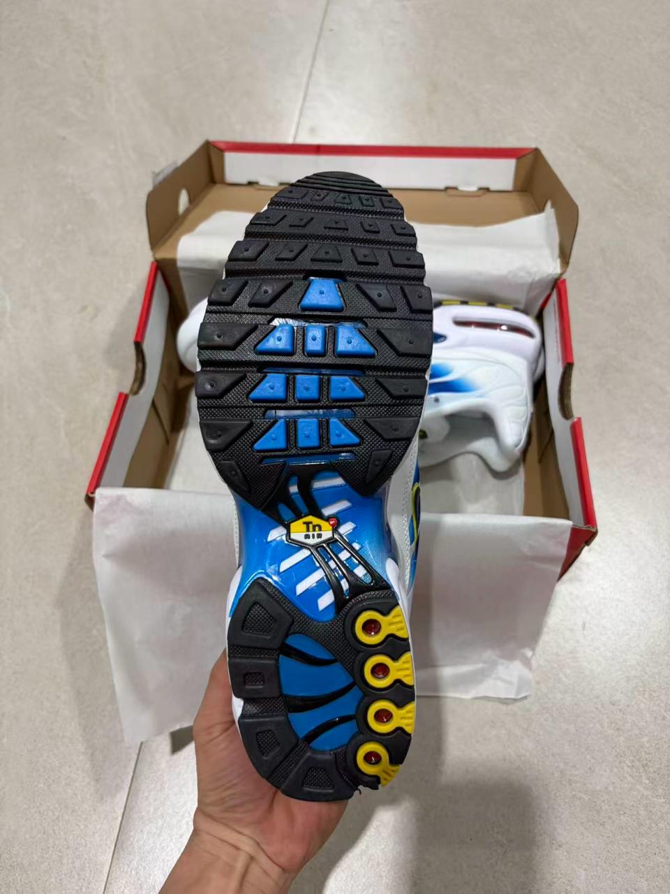 TN White University Blue Gold