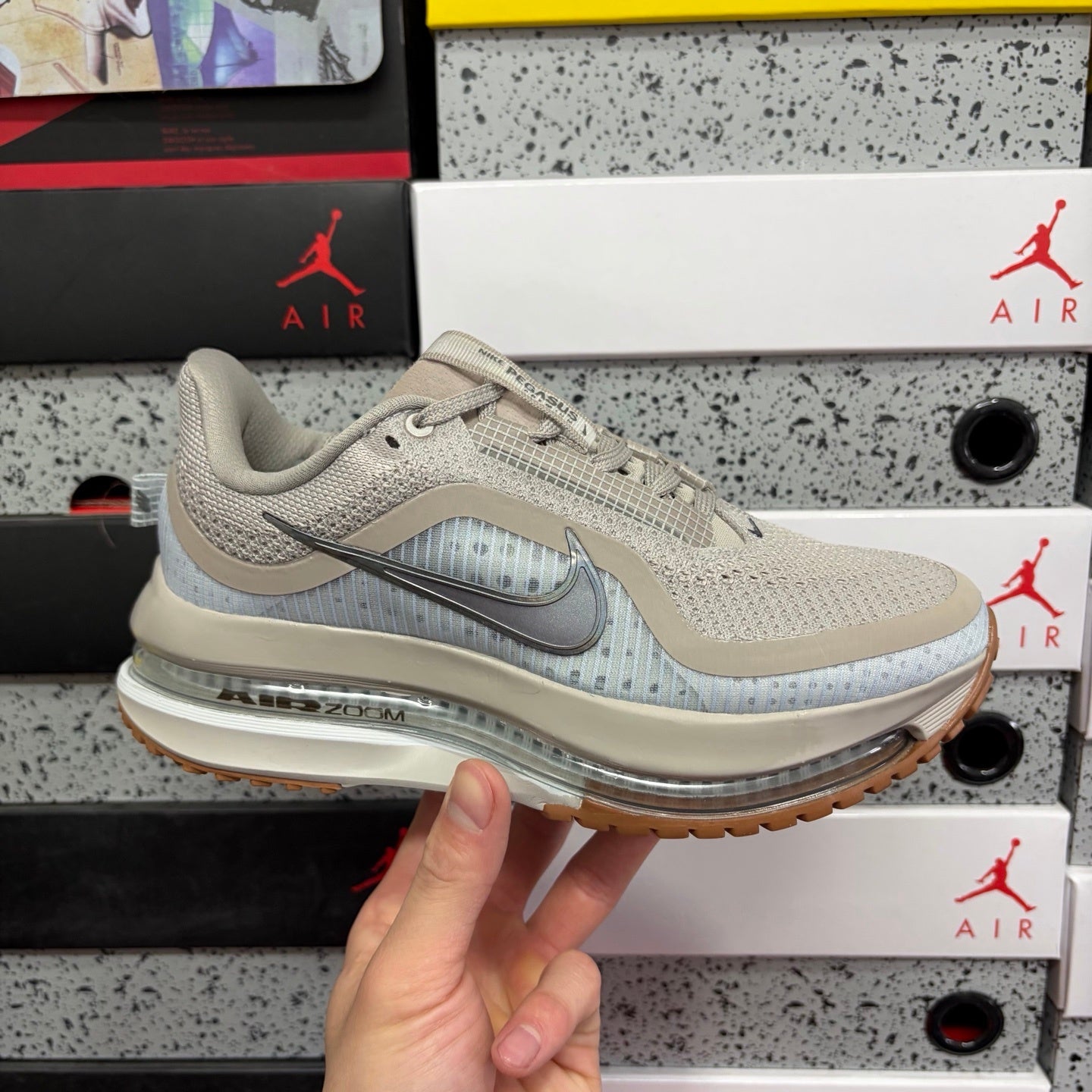 Pegasus Premium Grey