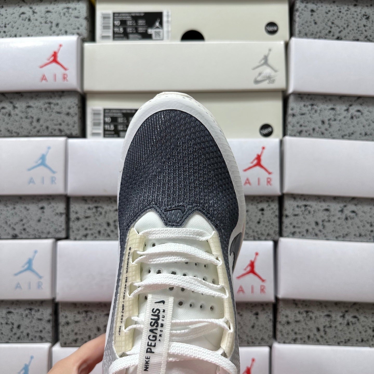 Pegasus Premium Black/Pink
