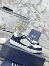 Denim Tears x Dior B27 Low Dior Tears