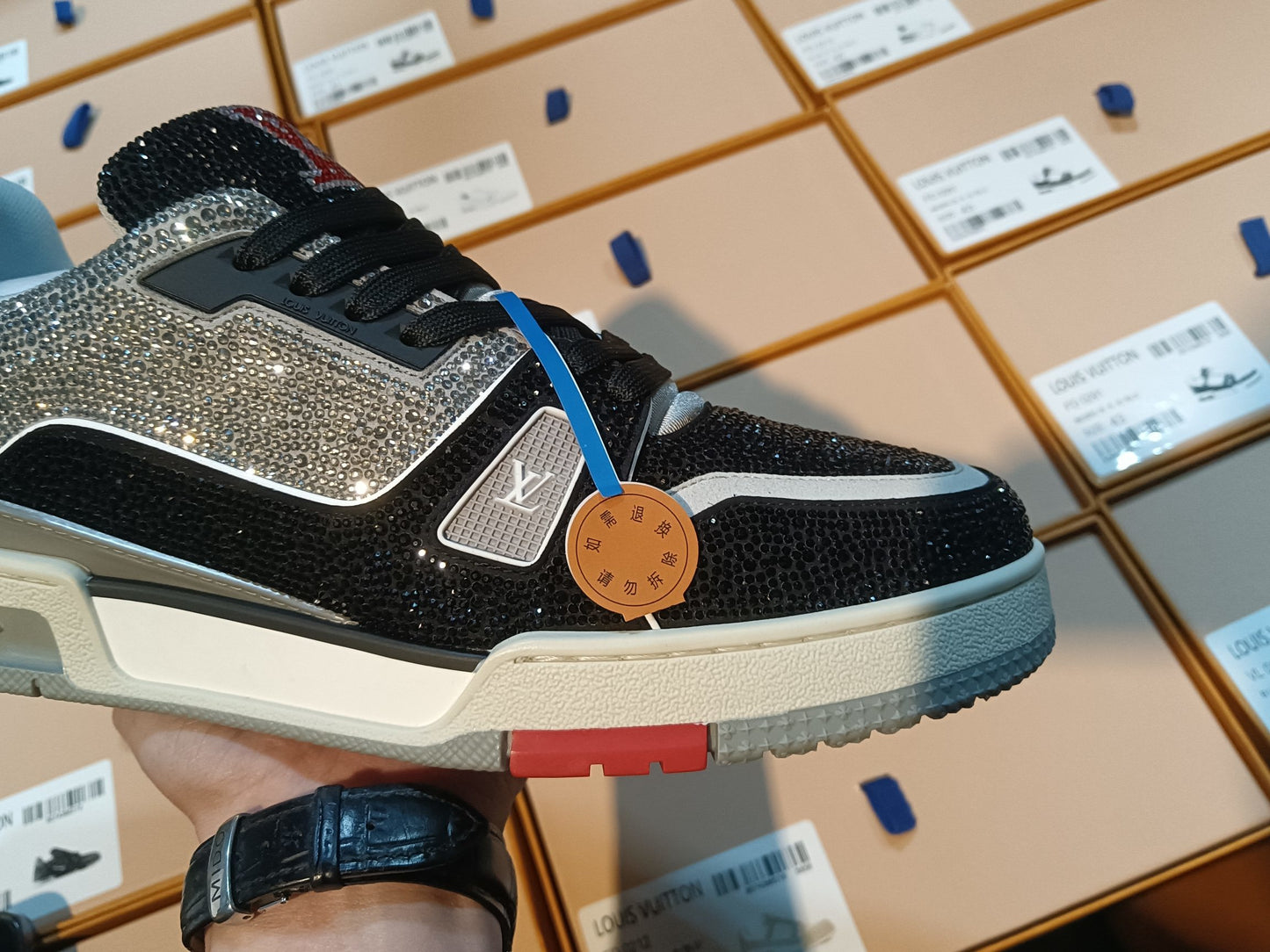 Trainer Silver and Black Crystal