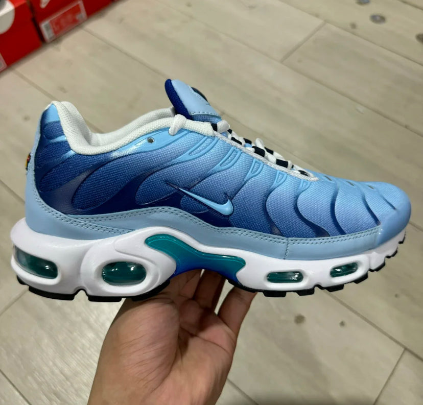 Air Max TN Blue