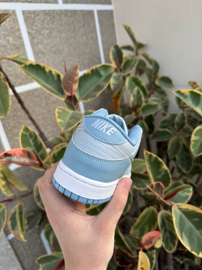 Low Fleece Swoosh Light Blue