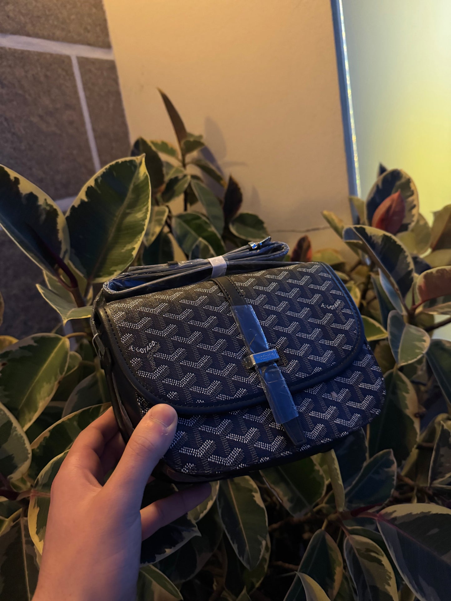 Goyard Bag Black