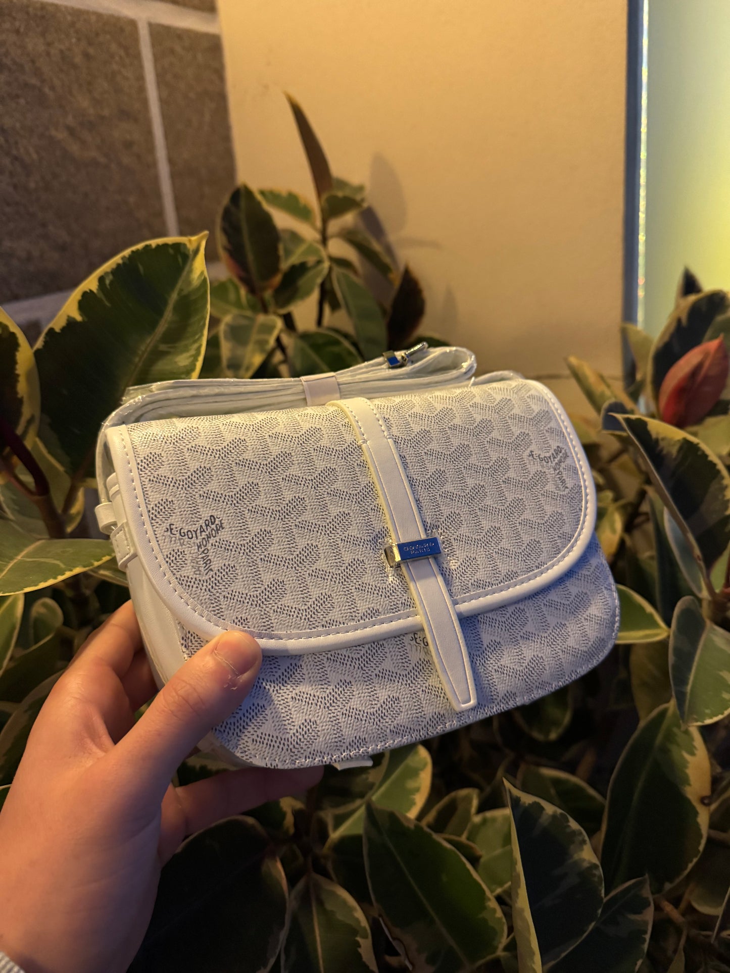 Goyard Bag White