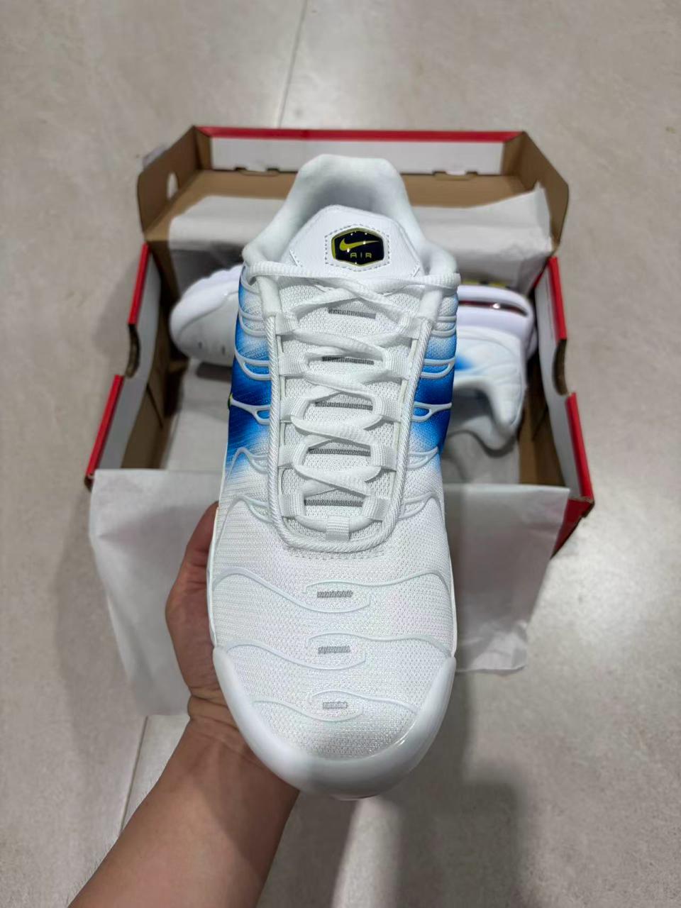 TN White University Blue Gold