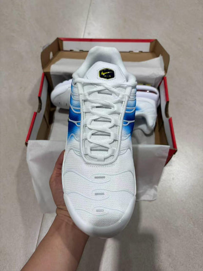 TN White University Blue Gold