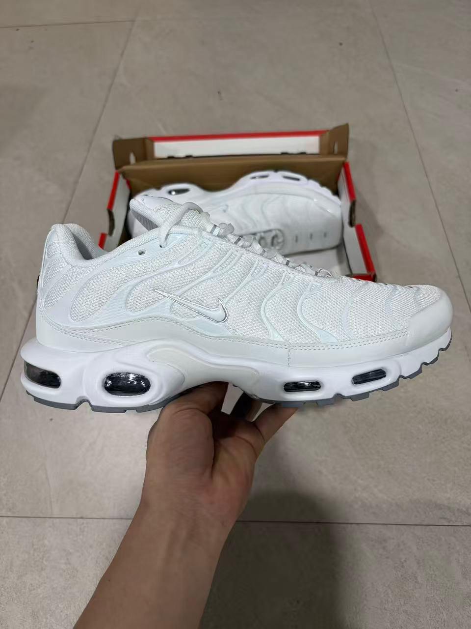 TN White
