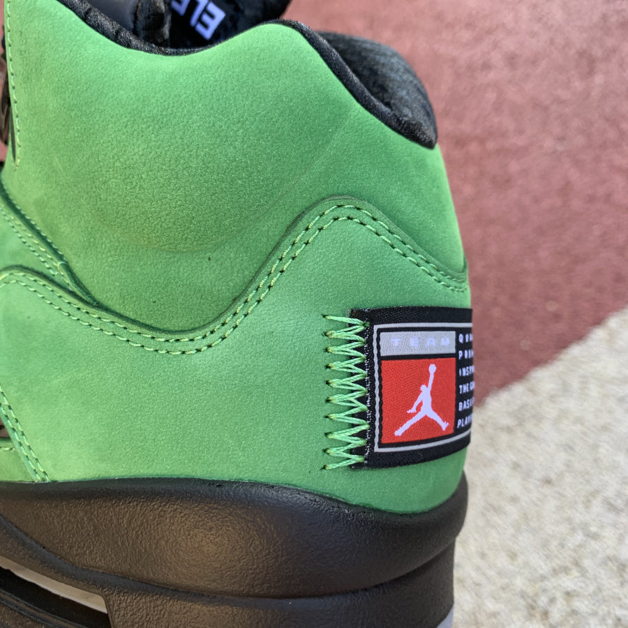 AJ 5 Oregon